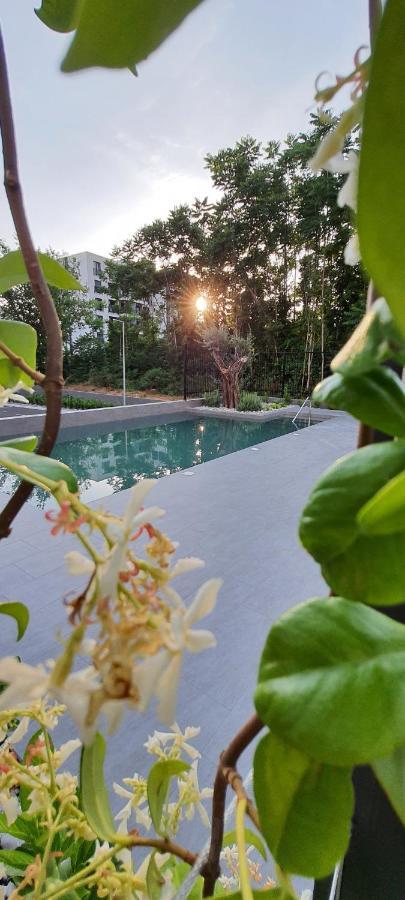 Luxury Apartment Stefanija Tivat Zewnętrze zdjęcie